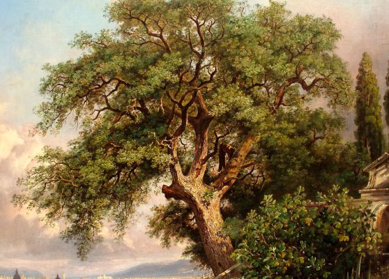 L'Albero del Poeta. Arthur John Strutt. La quercia del Tasso (dettaglio), olio su tela, 1843